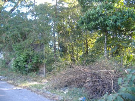 Terreno à venda, 32000m² - Foto 5