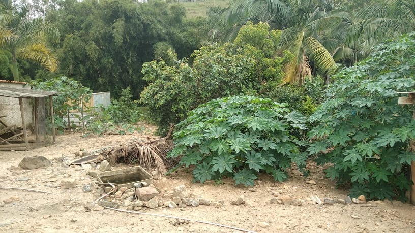 Terreno à venda, 490m² - Foto 1