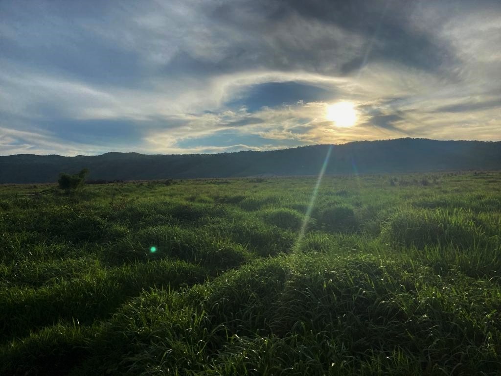 Chácara à venda com 3 quartos, 10500000m² - Foto 13