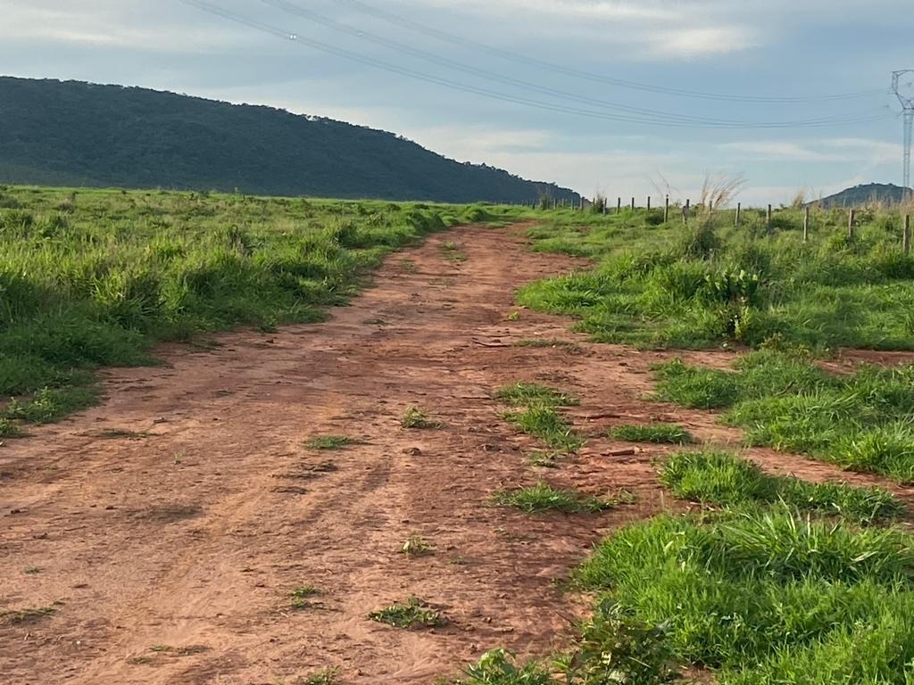 Chácara à venda com 3 quartos, 10500000m² - Foto 9