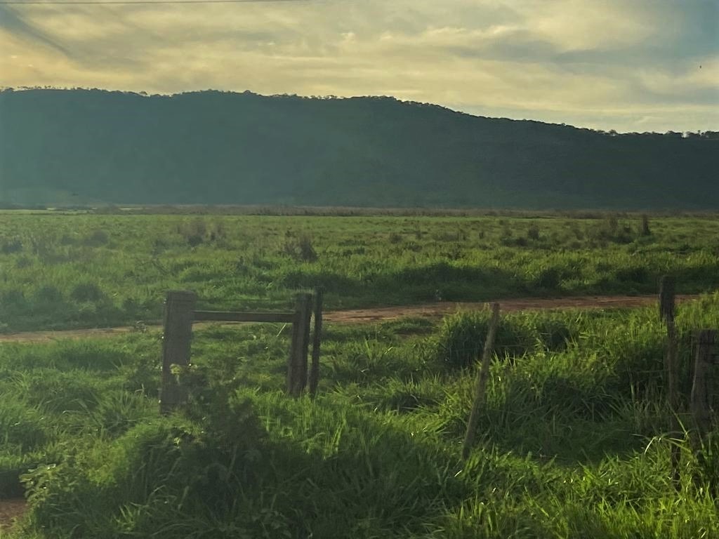 Chácara à venda com 3 quartos, 10500000m² - Foto 10