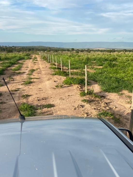 Chácara à venda com 3 quartos, 10500000m² - Foto 12