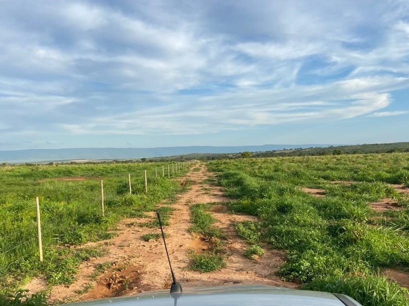 Chácara à venda com 3 quartos, 10500000m² - Foto 14