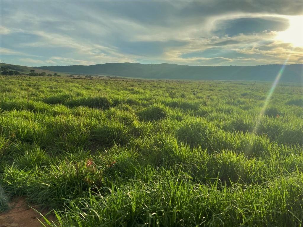 Chácara à venda com 3 quartos, 10500000m² - Foto 15