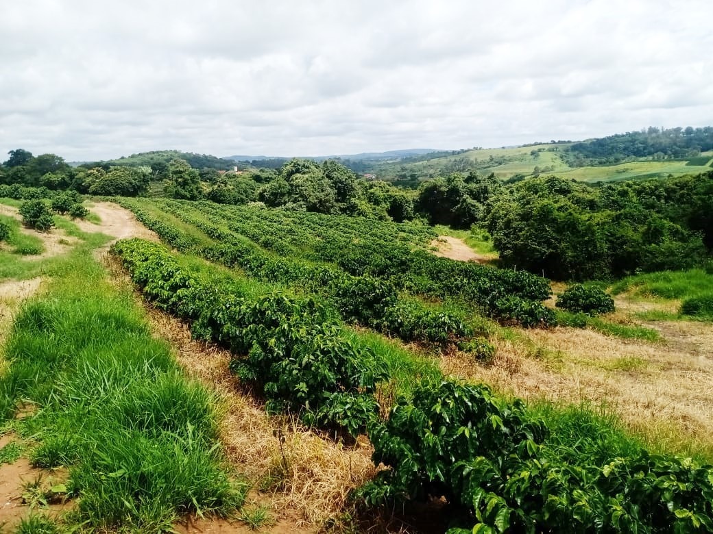 Chácara à venda com 1 quarto, 600000m² - Foto 3