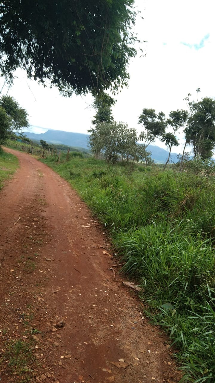 Terreno à venda, 2700m² - Foto 3