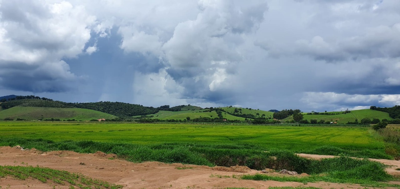 Chácara à venda com 1 quarto, 774400m² - Foto 8