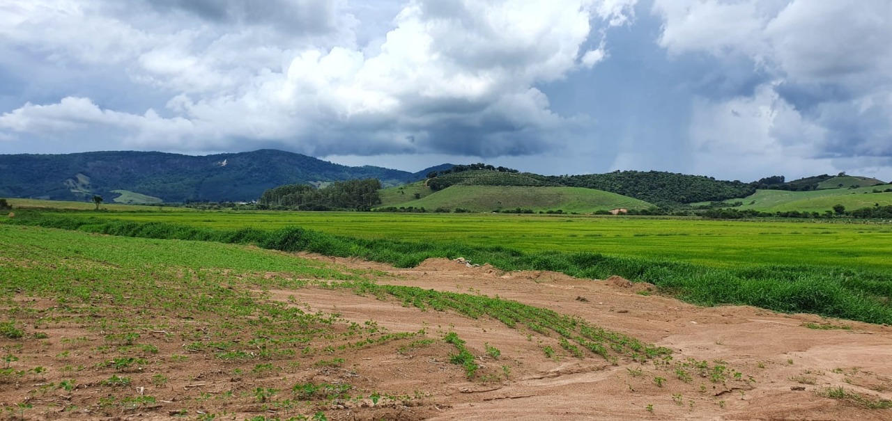 Chácara à venda com 1 quarto, 774400m² - Foto 9