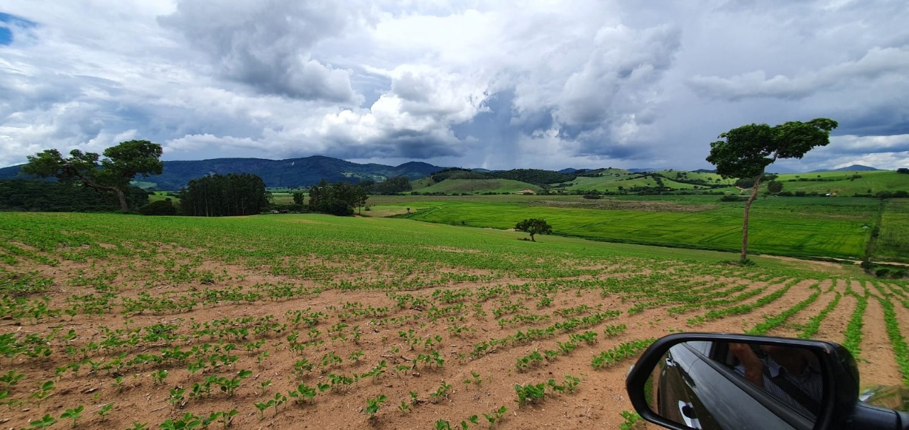 Chácara à venda com 1 quarto, 774400m² - Foto 10