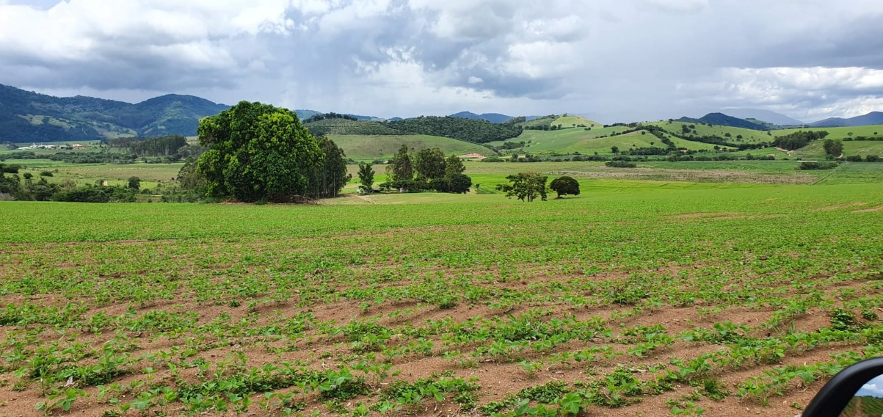 Chácara à venda com 1 quarto, 774400m² - Foto 11