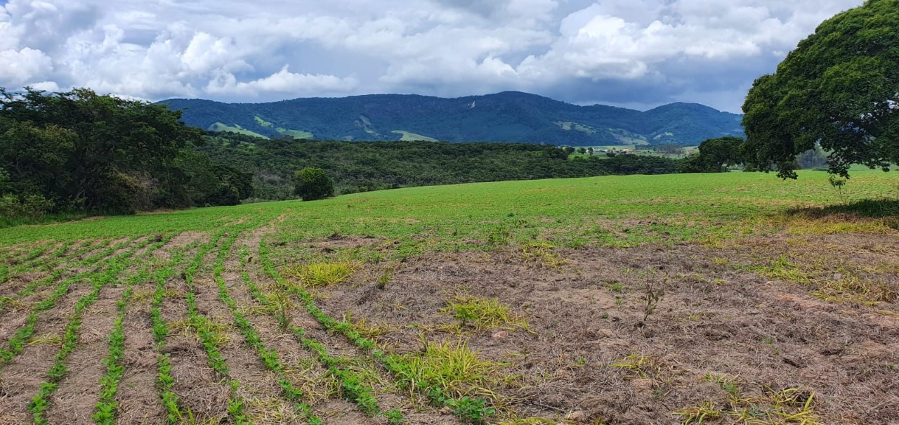 Chácara à venda com 1 quarto, 774400m² - Foto 12