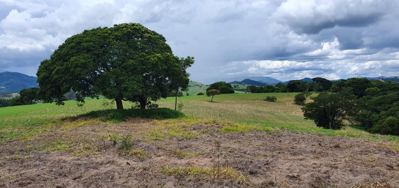 Chácara à venda com 1 quarto, 774400m² - Foto 13