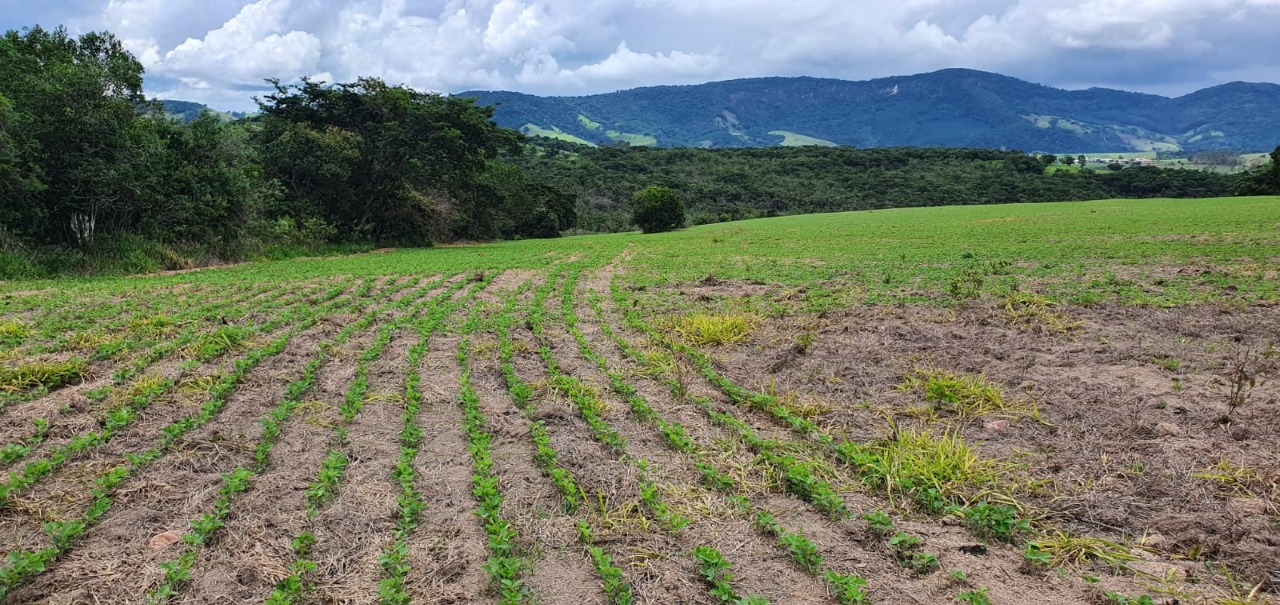 Chácara à venda com 1 quarto, 774400m² - Foto 14