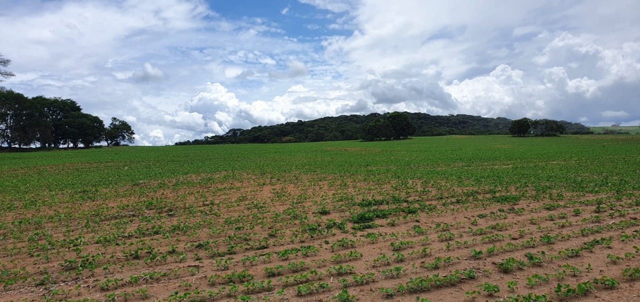 Chácara à venda com 1 quarto, 774400m² - Foto 15