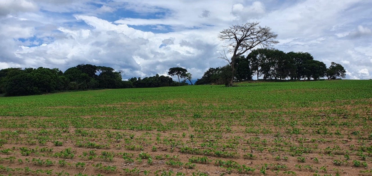 Chácara à venda com 1 quarto, 774400m² - Foto 16