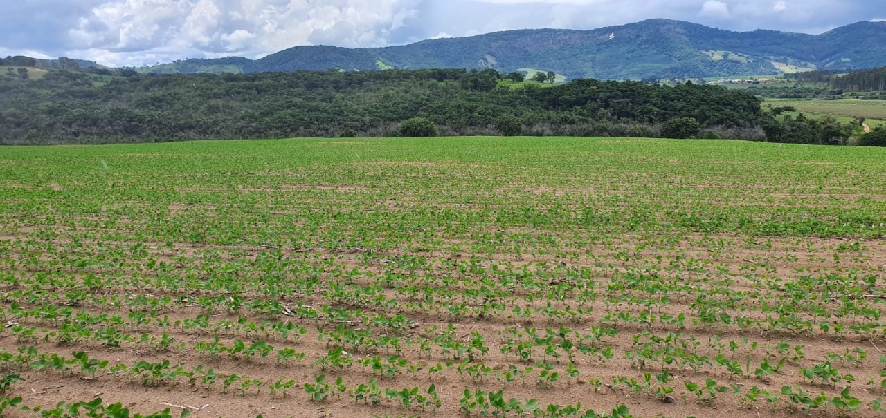 Chácara à venda com 1 quarto, 774400m² - Foto 19