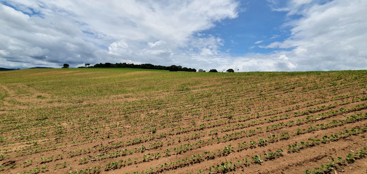 Chácara à venda com 1 quarto, 774400m² - Foto 20