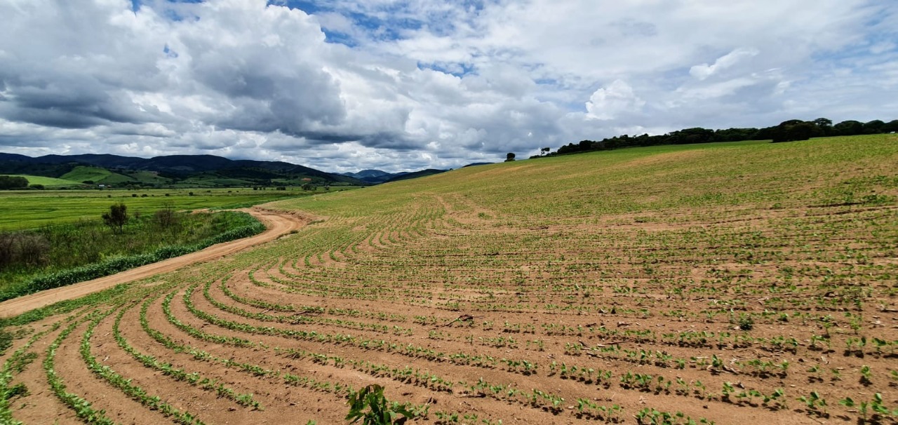 Chácara à venda com 1 quarto, 774400m² - Foto 21