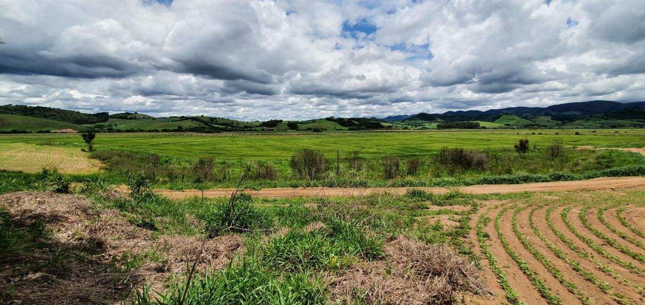 Chácara à venda com 1 quarto, 774400m² - Foto 23