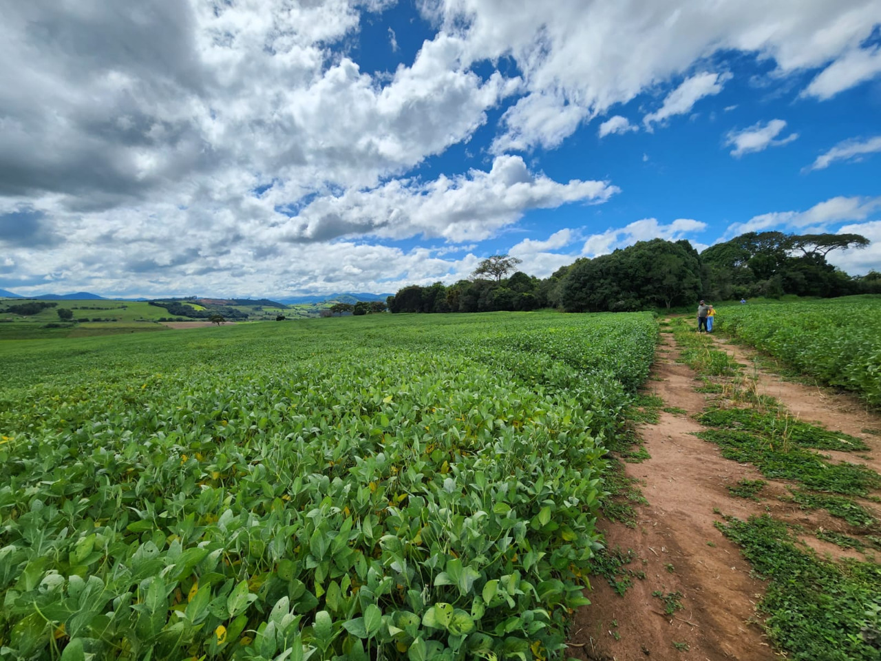 Chácara à venda com 1 quarto, 774400m² - Foto 2