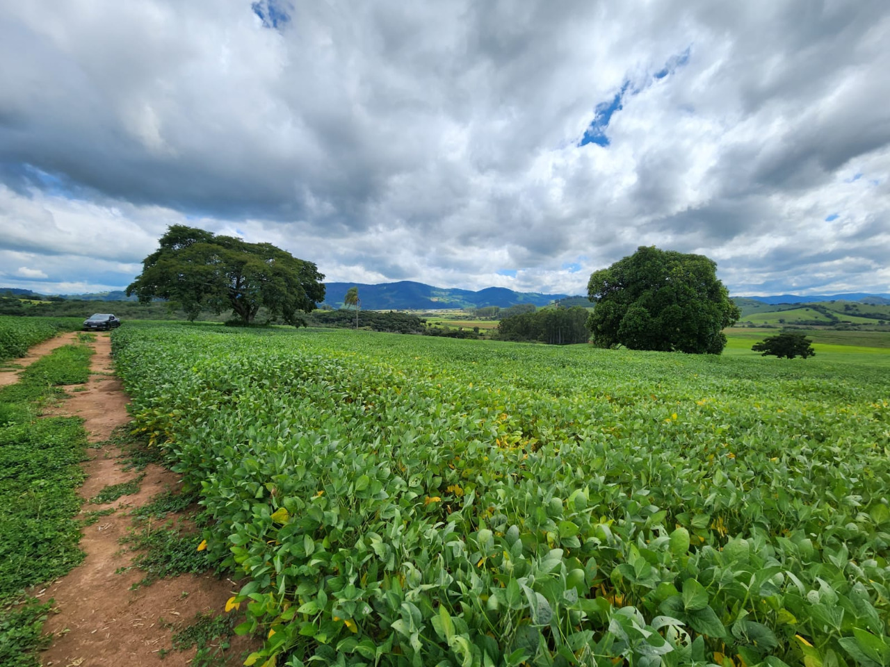 Chácara à venda com 1 quarto, 774400m² - Foto 6