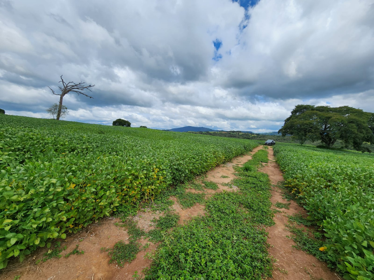 Chácara à venda com 1 quarto, 774400m² - Foto 7