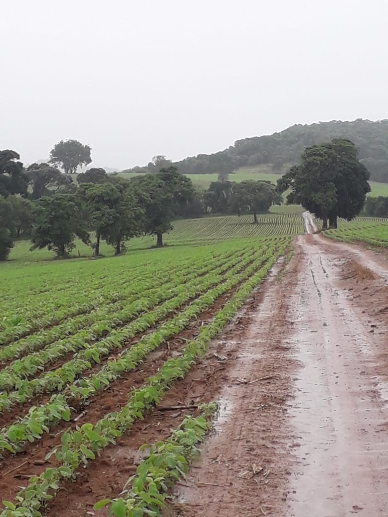 Chácara à venda com 1 quarto, 834900m² - Foto 5