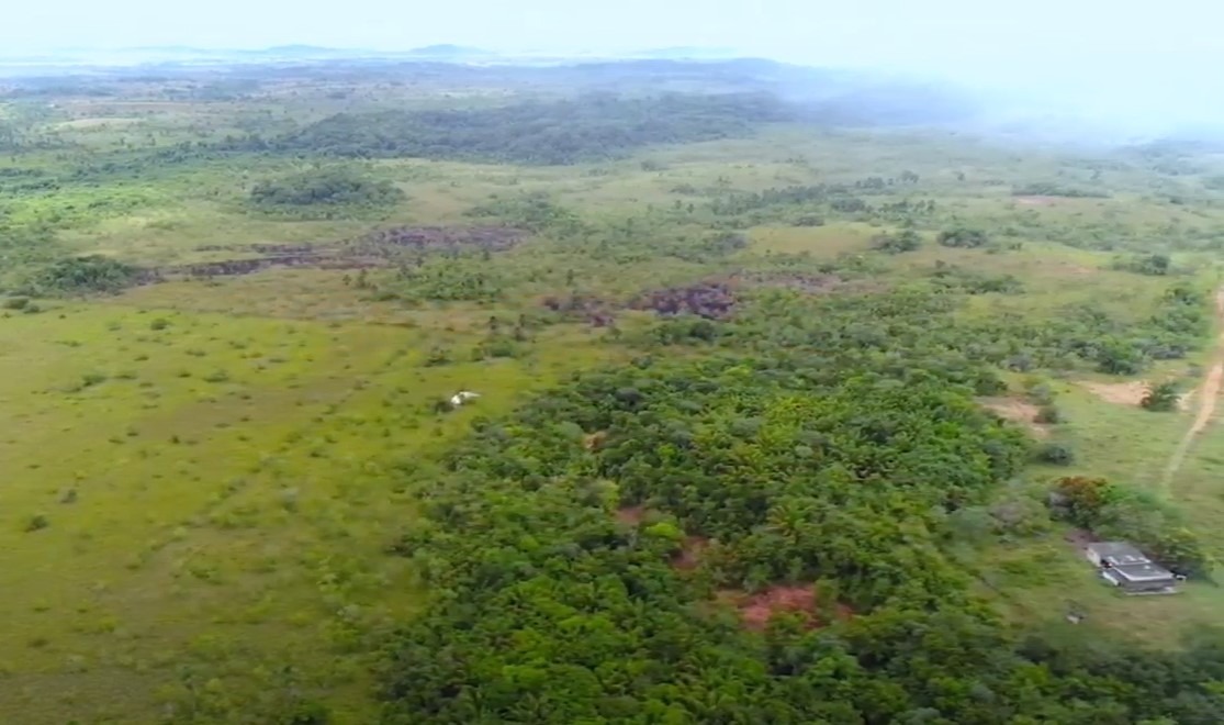 Chácara à venda com 2 quartos, 20000000m² - Foto 9