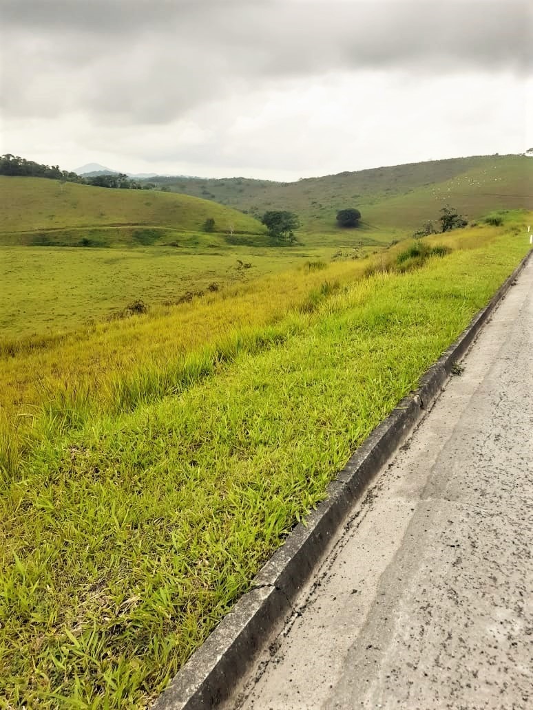 Chácara, 4 quartos, 513 hectares - Foto 3