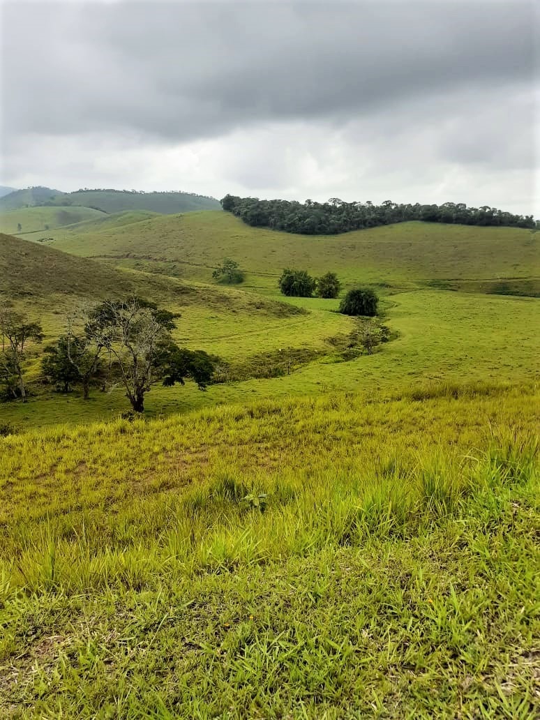 Chácara, 4 quartos, 513 hectares - Foto 4