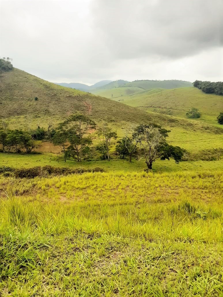 Chácara à venda com 4 quartos, 5130000m² - Foto 5