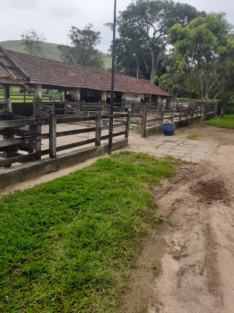 Chácara, 4 quartos, 513 hectares - Foto 1