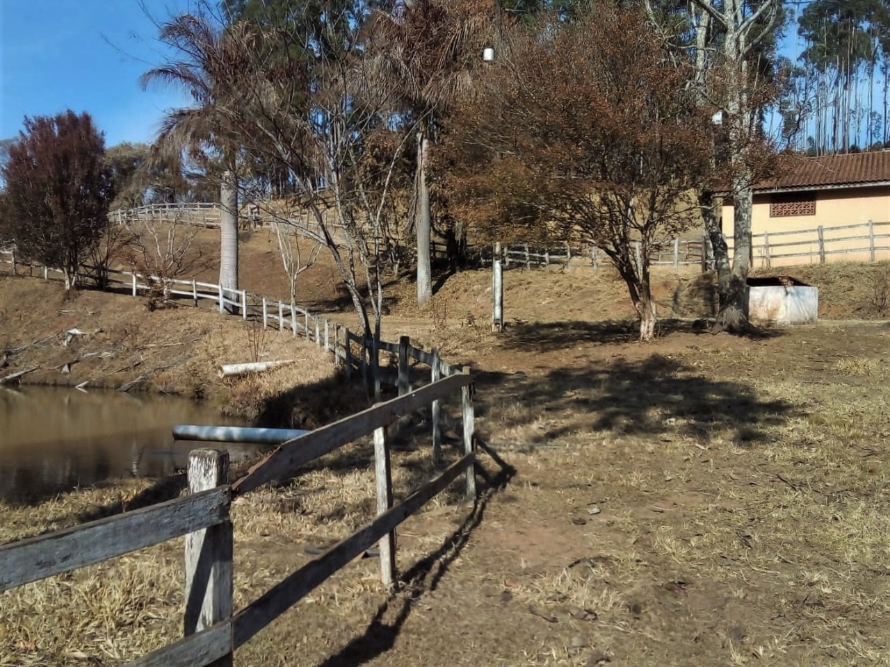 Chácara à venda com 4 quartos, 1450000m² - Foto 3