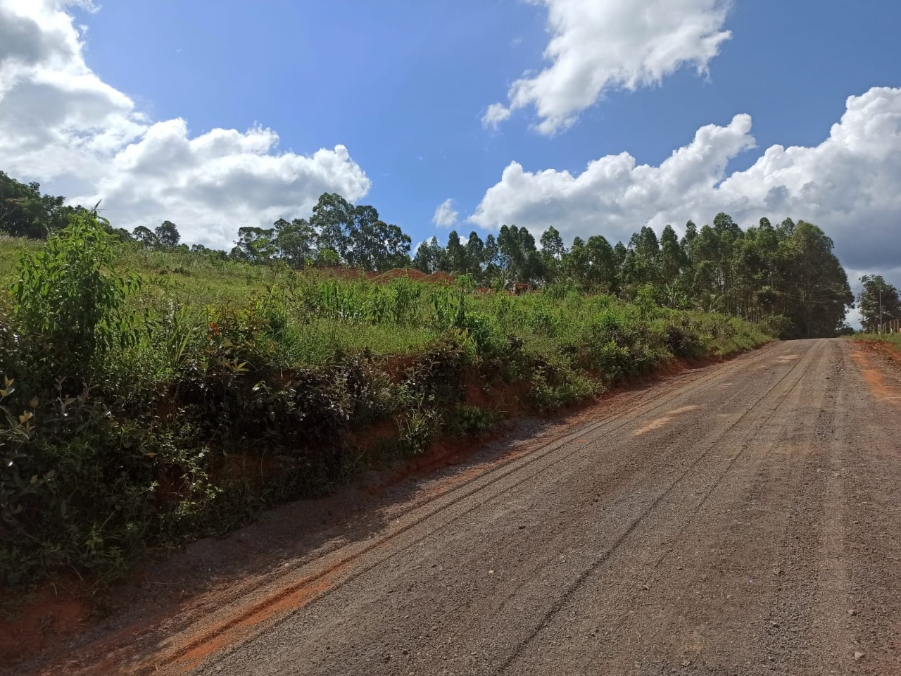 Chácara à venda com 1 quarto, 1000m² - Foto 1