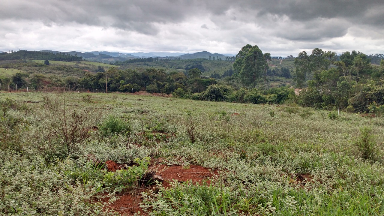 Chácara à venda com 1 quarto, 1000m² - Foto 4