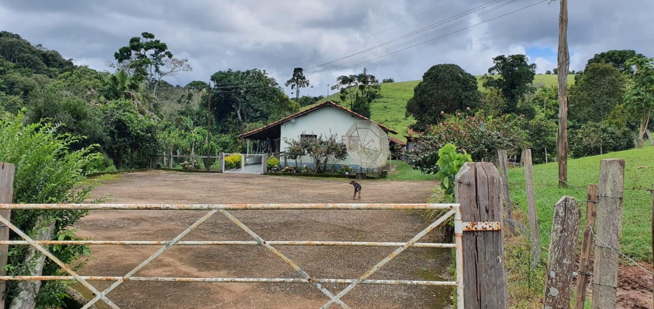 Chácara à venda com 4 quartos, 1650000m² - Foto 5