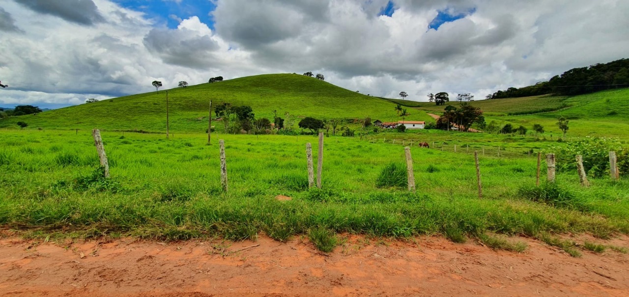 Chácara à venda com 4 quartos, 1650000m² - Foto 15