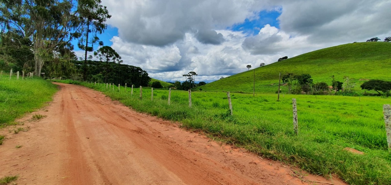 Chácara à venda com 4 quartos, 1650000m² - Foto 4