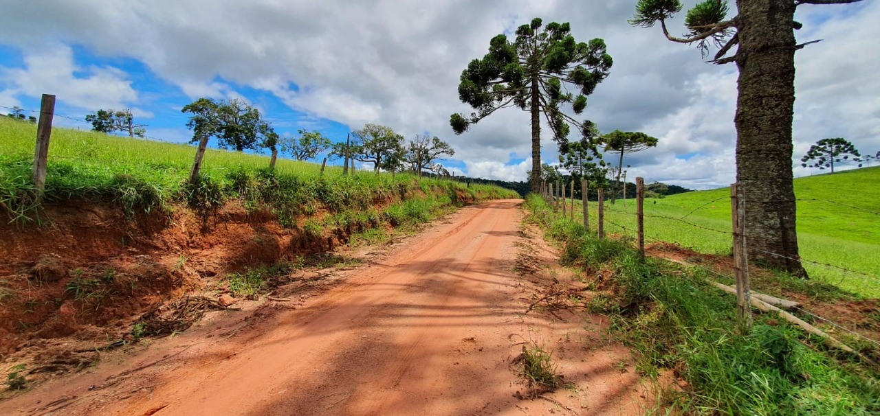 Chácara à venda com 4 quartos, 1650000m² - Foto 6