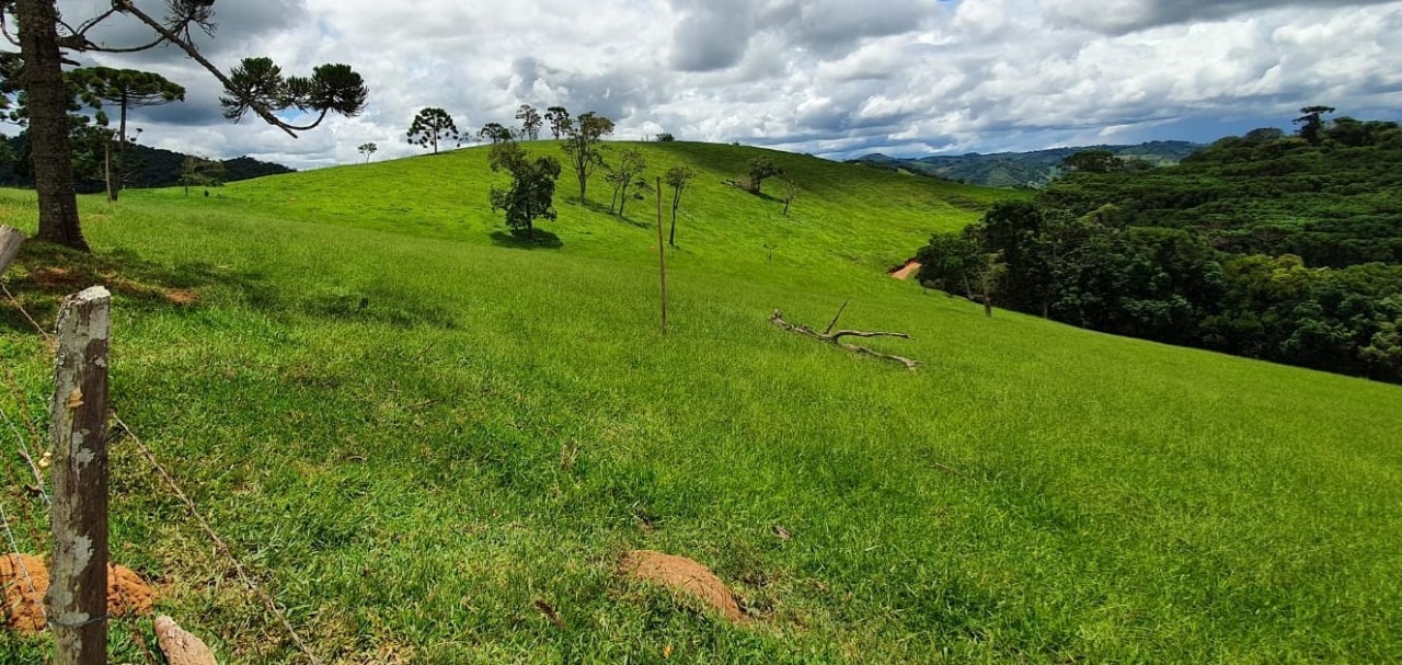 Chácara à venda com 4 quartos, 1650000m² - Foto 20