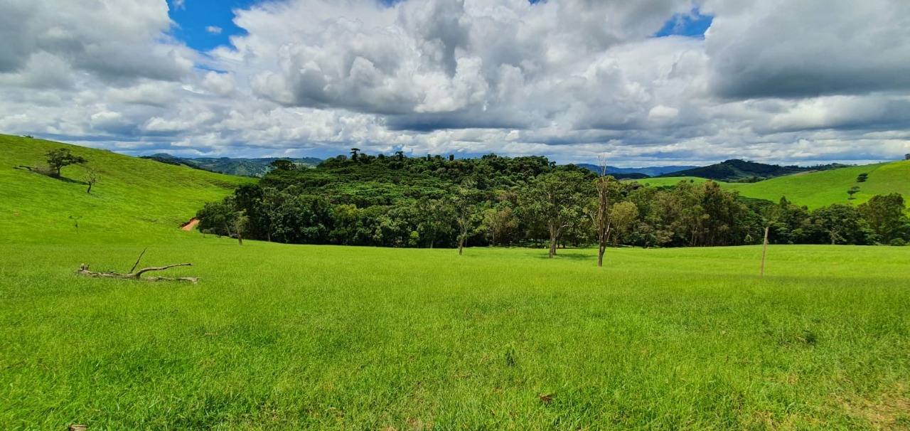 Chácara à venda com 4 quartos, 1650000m² - Foto 22