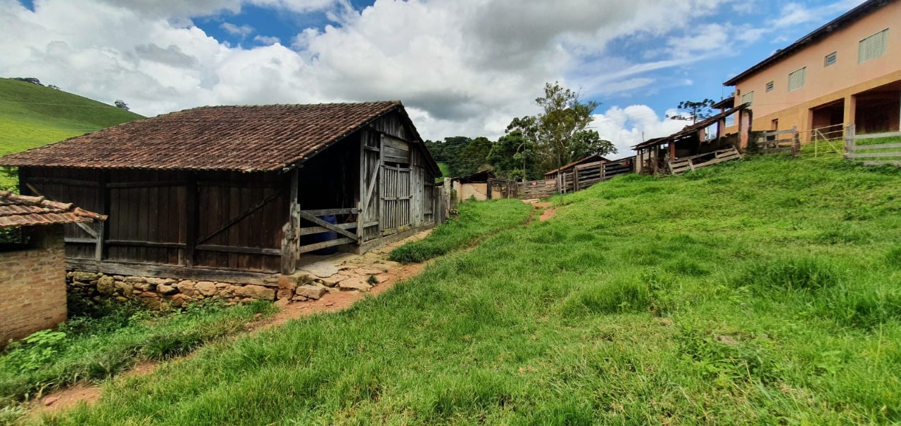 Chácara à venda com 4 quartos, 1650000m² - Foto 8