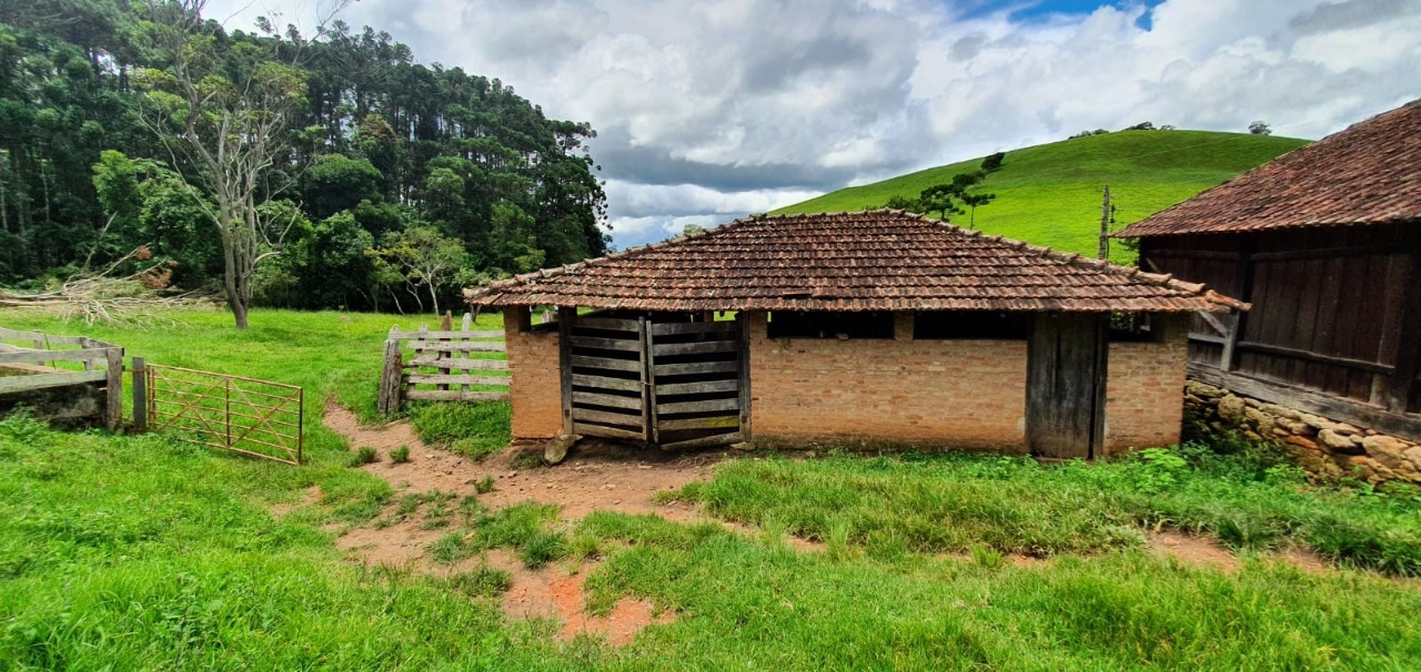 Chácara à venda com 4 quartos, 1650000m² - Foto 3