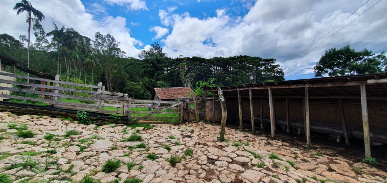 Chácara à venda com 4 quartos, 1650000m² - Foto 10