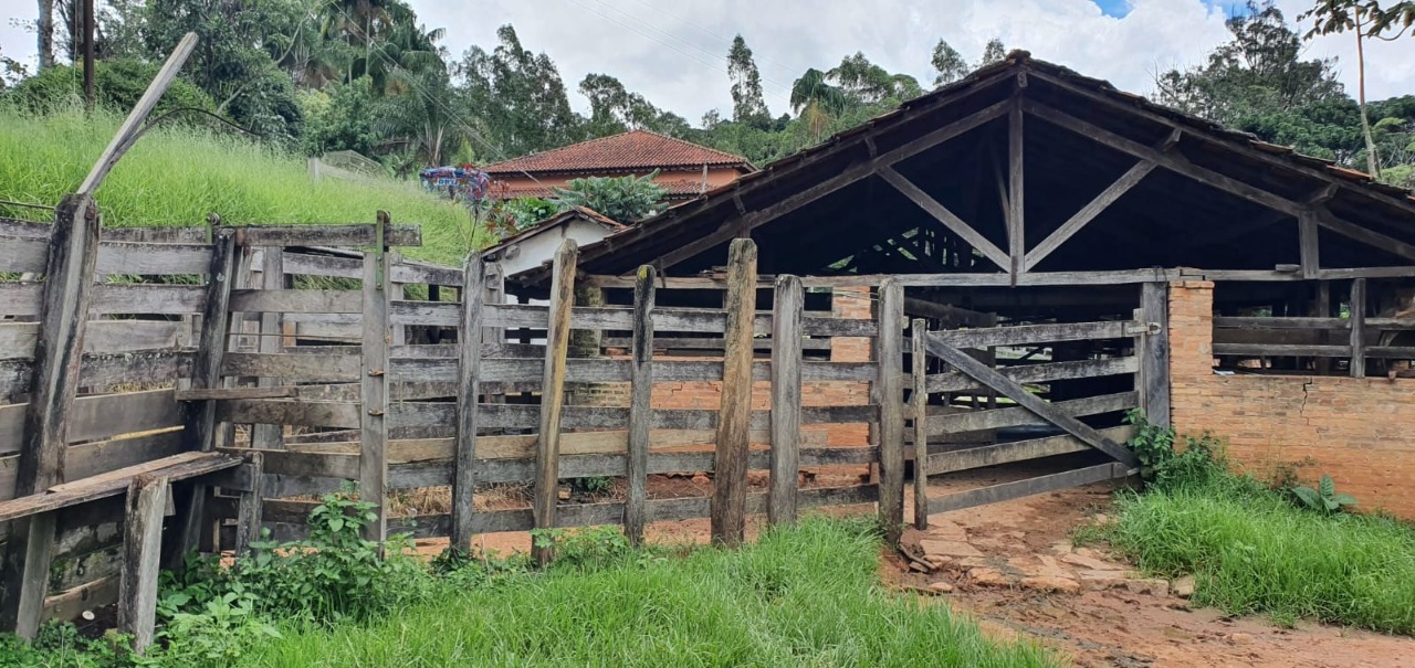 Chácara à venda com 4 quartos, 1650000m² - Foto 9