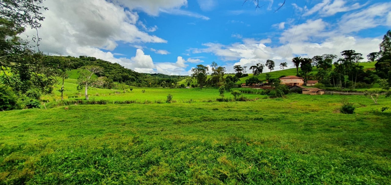 Chácara à venda com 4 quartos, 1650000m² - Foto 1