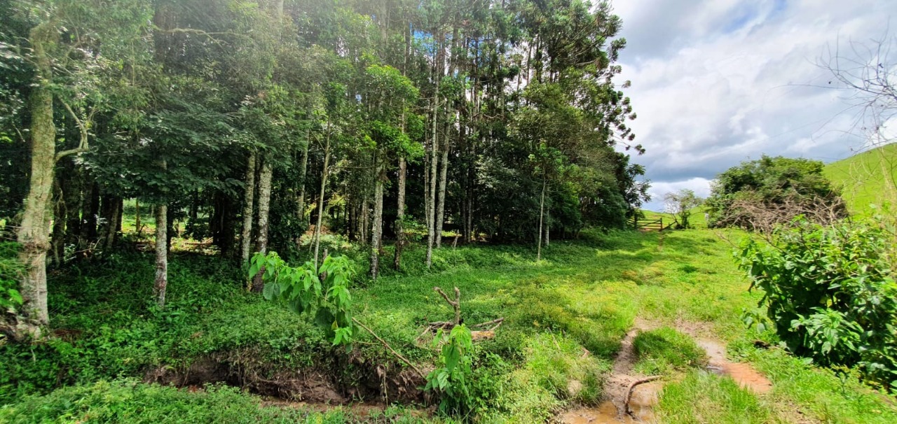 Chácara à venda com 4 quartos, 1650000m² - Foto 18