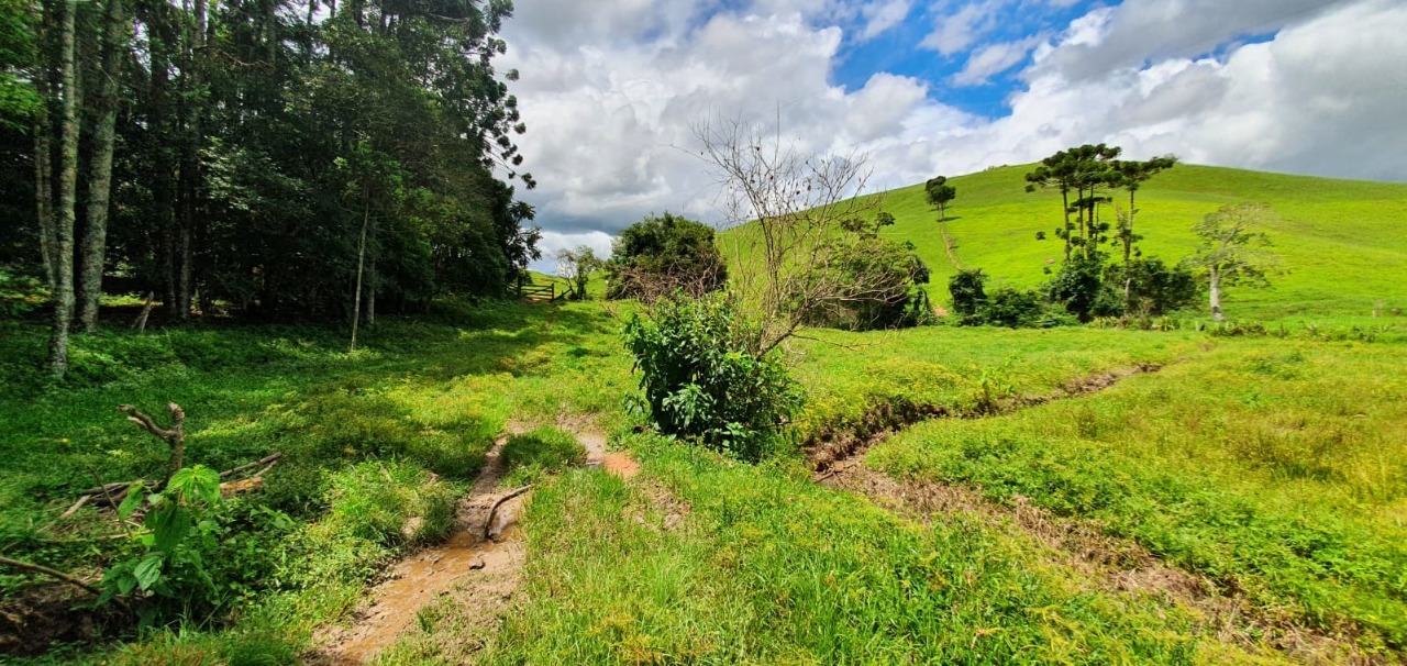 Chácara à venda com 4 quartos, 1650000m² - Foto 23