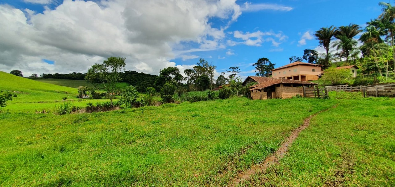 Chácara à venda com 4 quartos, 1650000m² - Foto 2