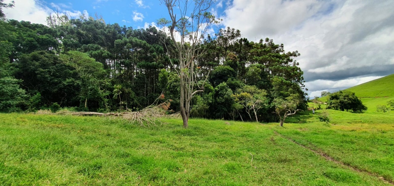 Chácara à venda com 4 quartos, 1650000m² - Foto 25